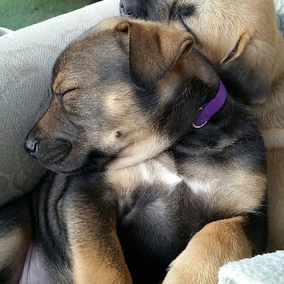 Meet your Posher, Aaron - Picture 4 of 5